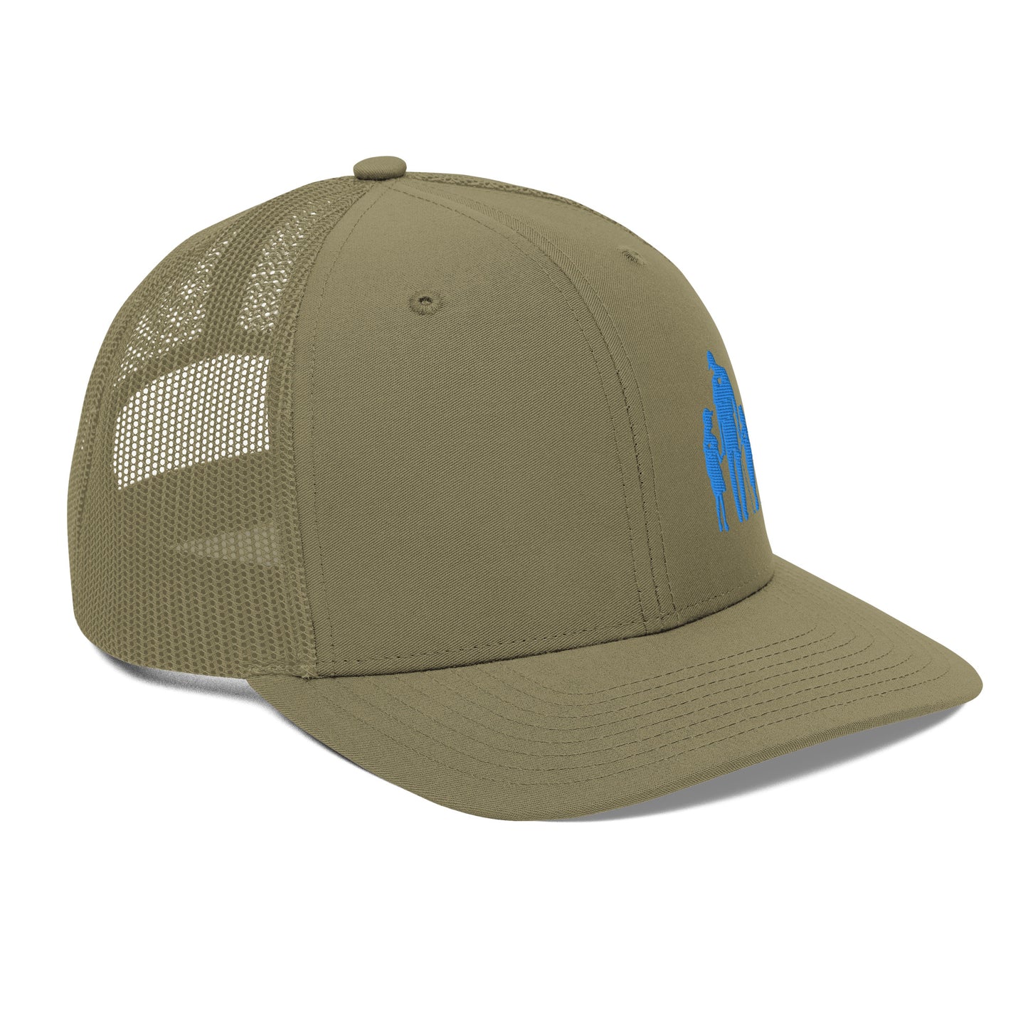 Trucker Cap GDG (Aqua/Teal Logo)